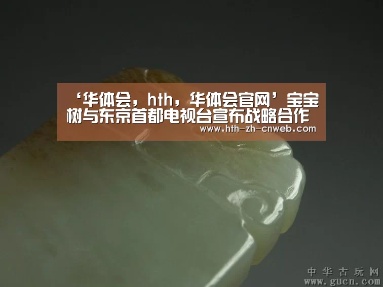 ‘华体会,hth,华体会官网’宝宝树与东京首都电视台宣布战略合作 链接日本匠心品牌与中国家庭消费新需求(图2) 华体会,hth,华体会官网
