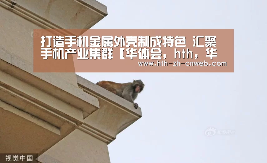 打造手机金属外壳制成特色 汇聚手机产业集群【华体会,hth,华体会官网】(图3) 华体会,hth,华体会官网