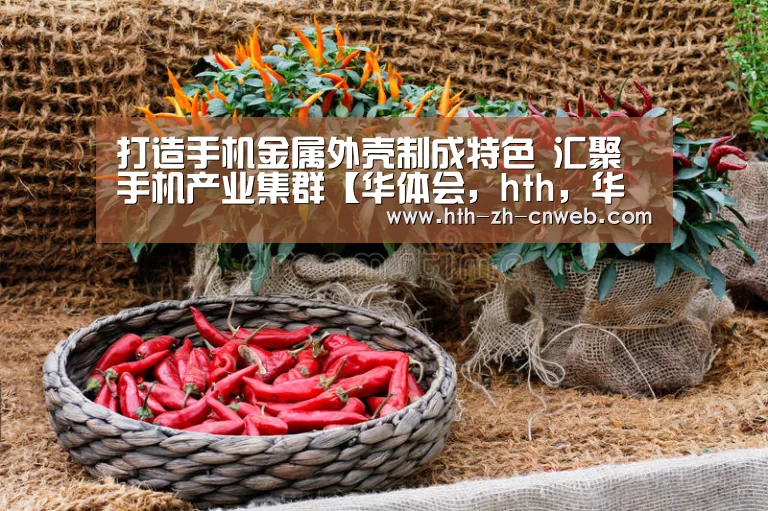 打造手机金属外壳制成特色 汇聚手机产业集群【华体会,hth,华体会官网】(图2) 华体会,hth,华体会官网