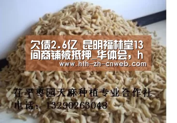 欠债2.6亿 昆明福林堂13间商铺被抵押_华体会，hth，华
