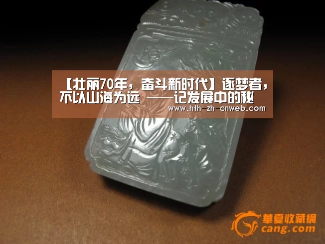 【壮丽70年，奋斗新时代】逐梦者，不以山海为远 ——记发展中