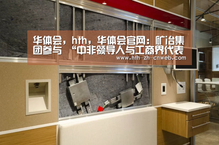 华体会，hth，华体会官网：矿冶集团参与 “中非领导人与工商