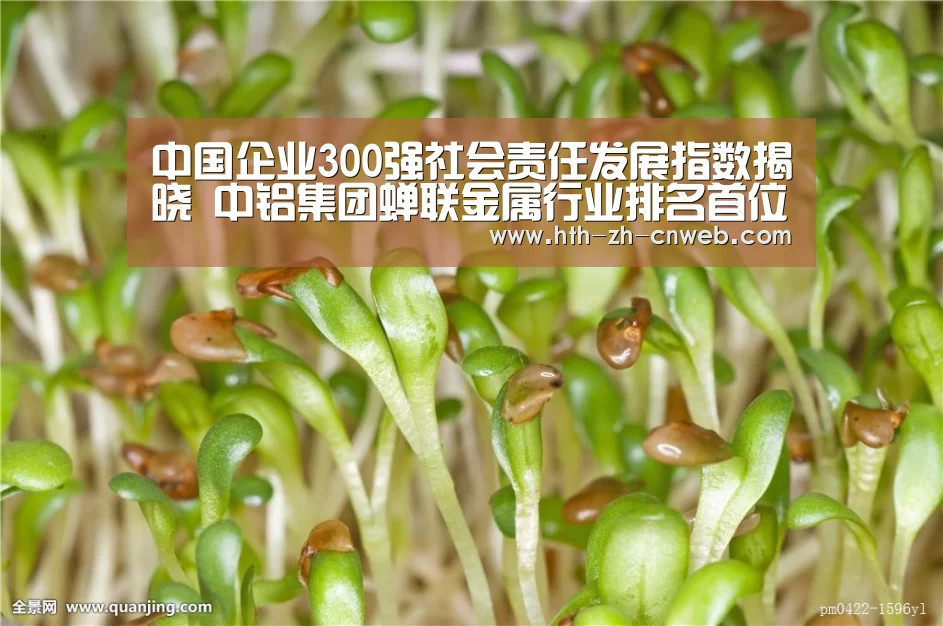 华体会，hth，华体会官网